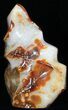 Tall, Polished Carnelian Agate Flame - (Special Price) #50702-2